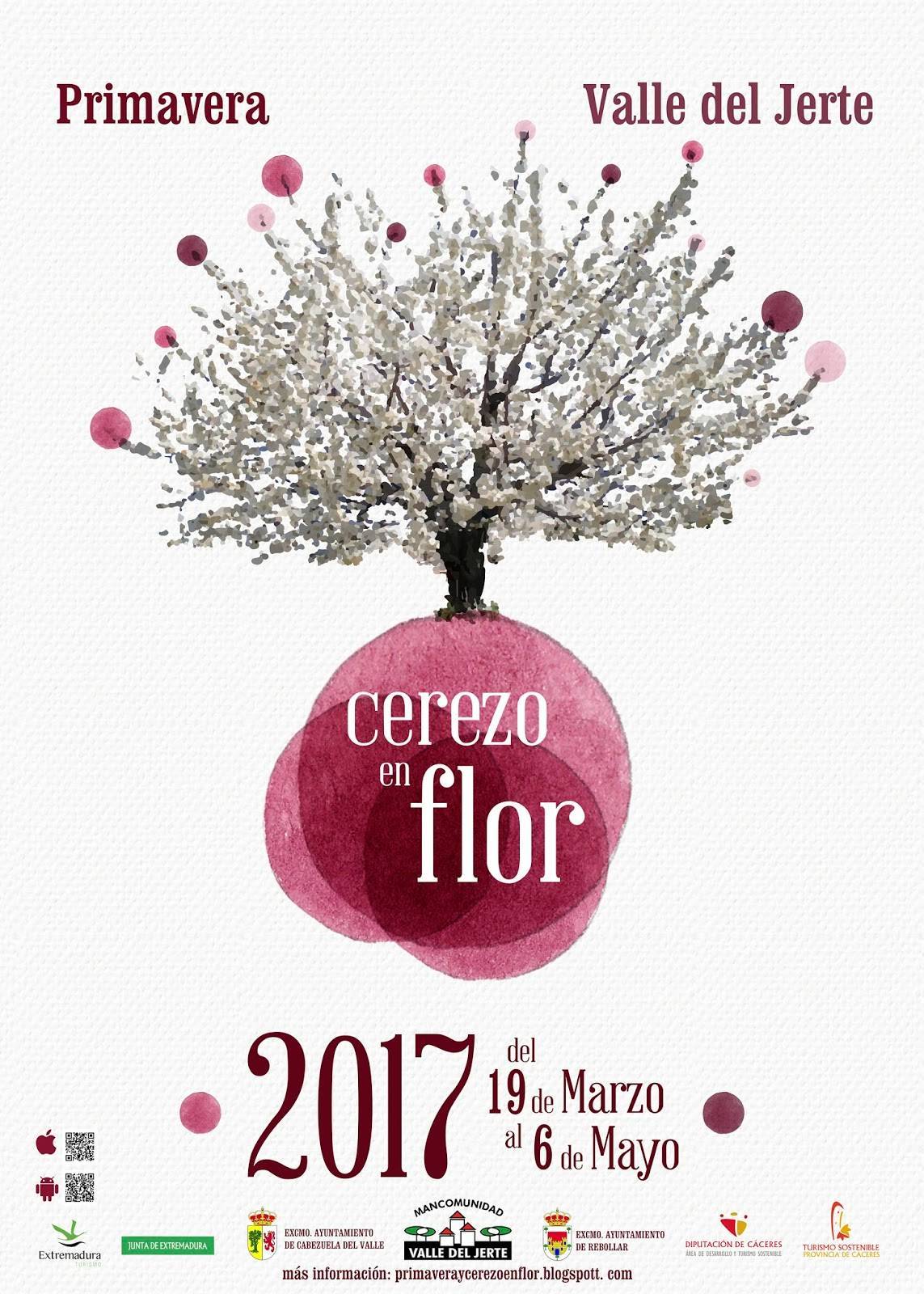 Cerezo en flor 2017 - Valle del Jerte