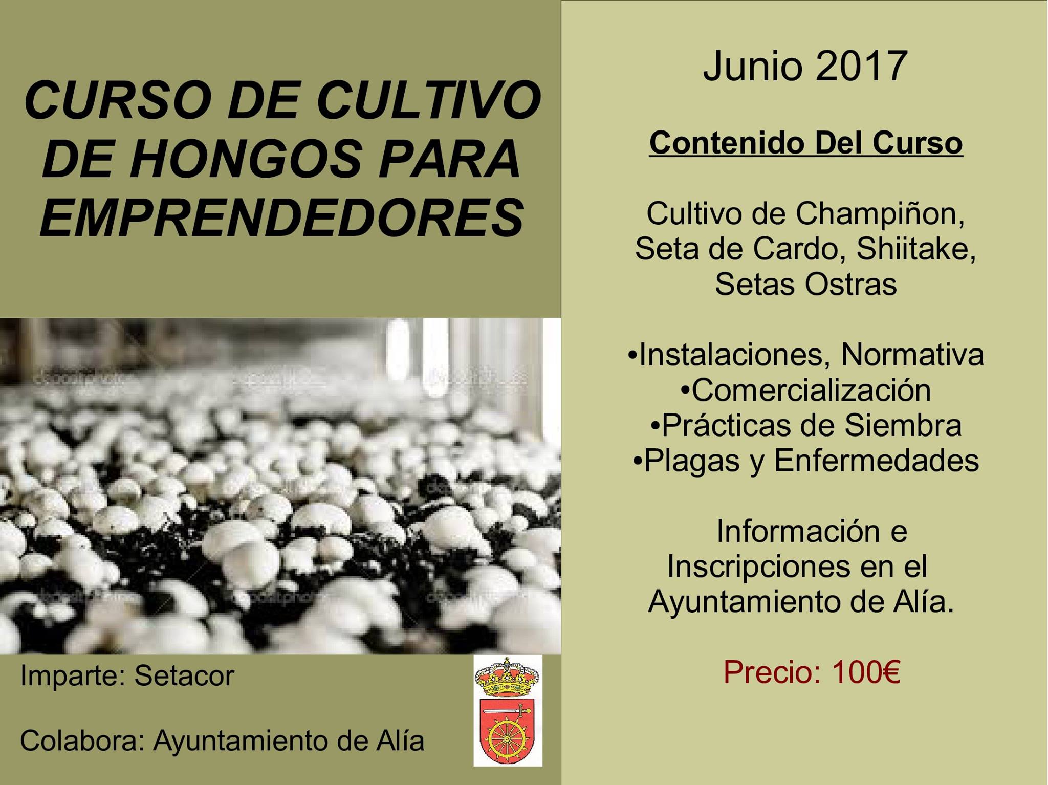 Cultivo de hongos 2017 - Alía