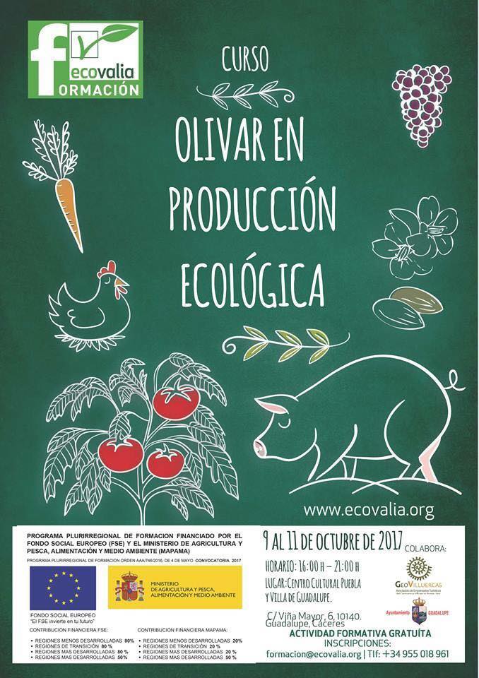 Curso de olivar en producción ecológica (2017) - Guadalupe (Cáceres)