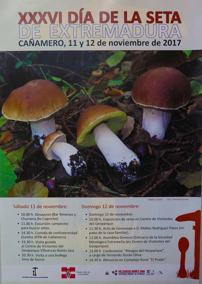 XXXVI Día de la Seta de Extremadura - Cañamero