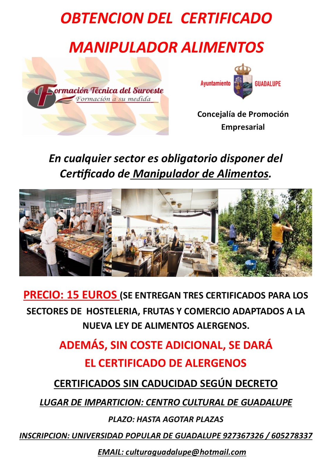 Certificado en manipulador de alimentos 2018 - Guadalupe