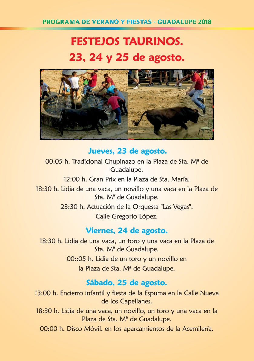 Programa de verano y fiestas 2018 - Guadalupe 9