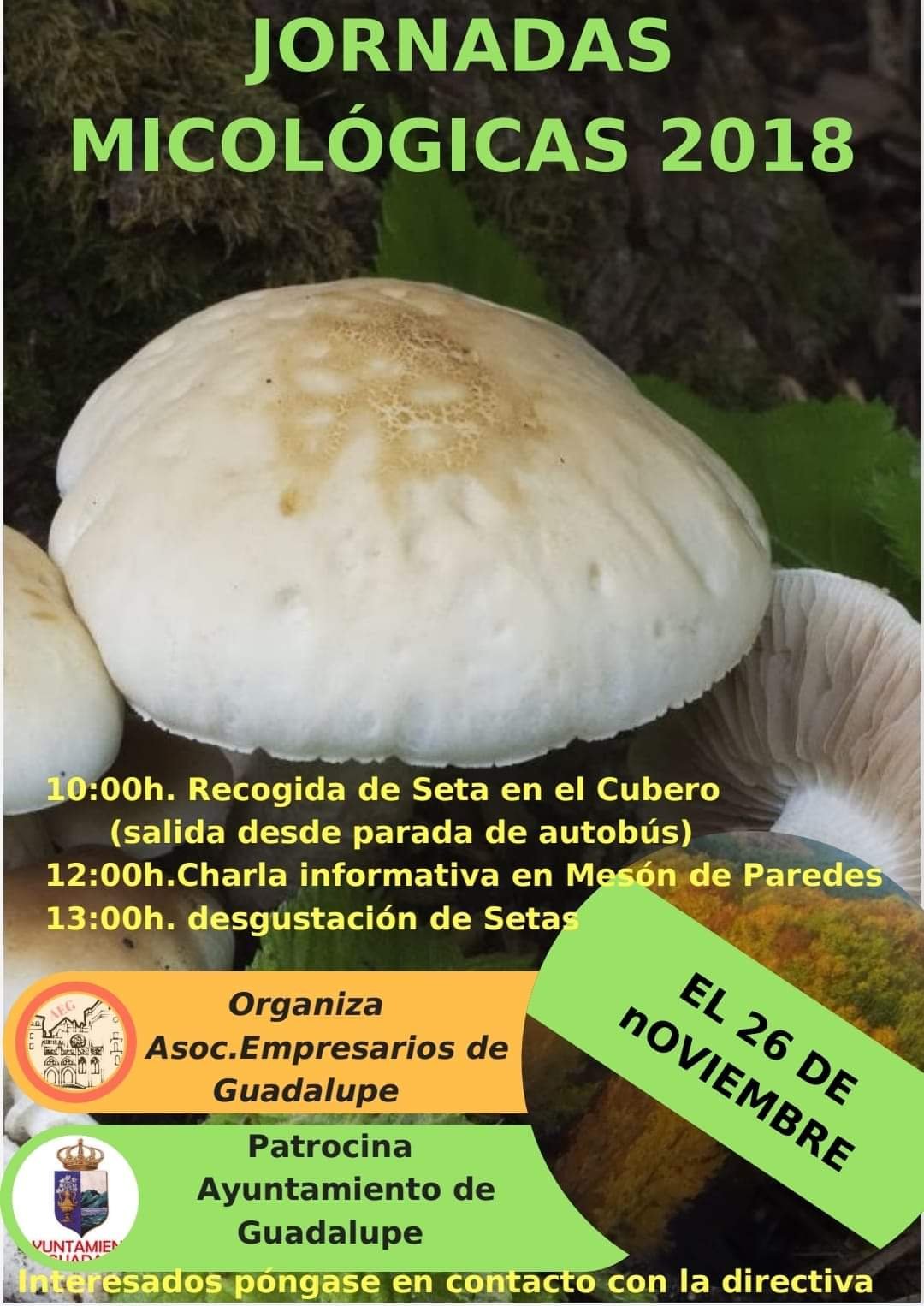 Jornadas micológicas 2018 - Guadalupe (Cáceres)