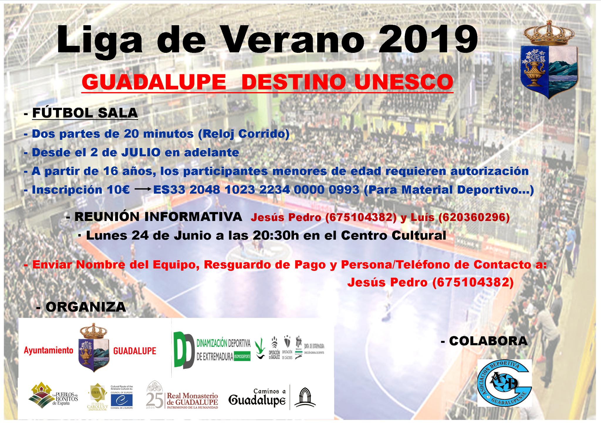 Liga de fútbol sala de verano 2019 - Guadalupe (Cáceres)