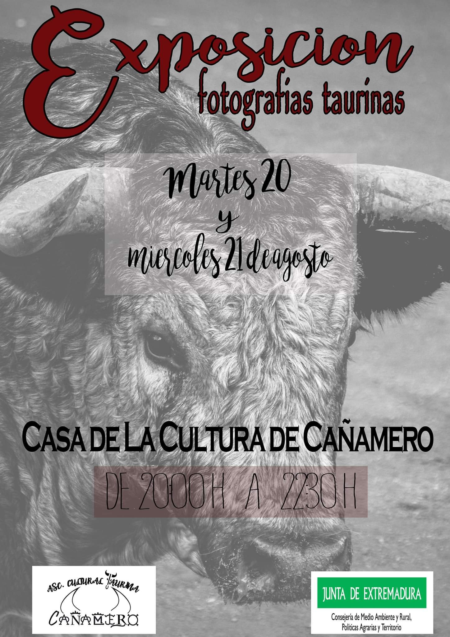 Exposición de fotografías taurinas 2019 - Cañamero (Cáceres)