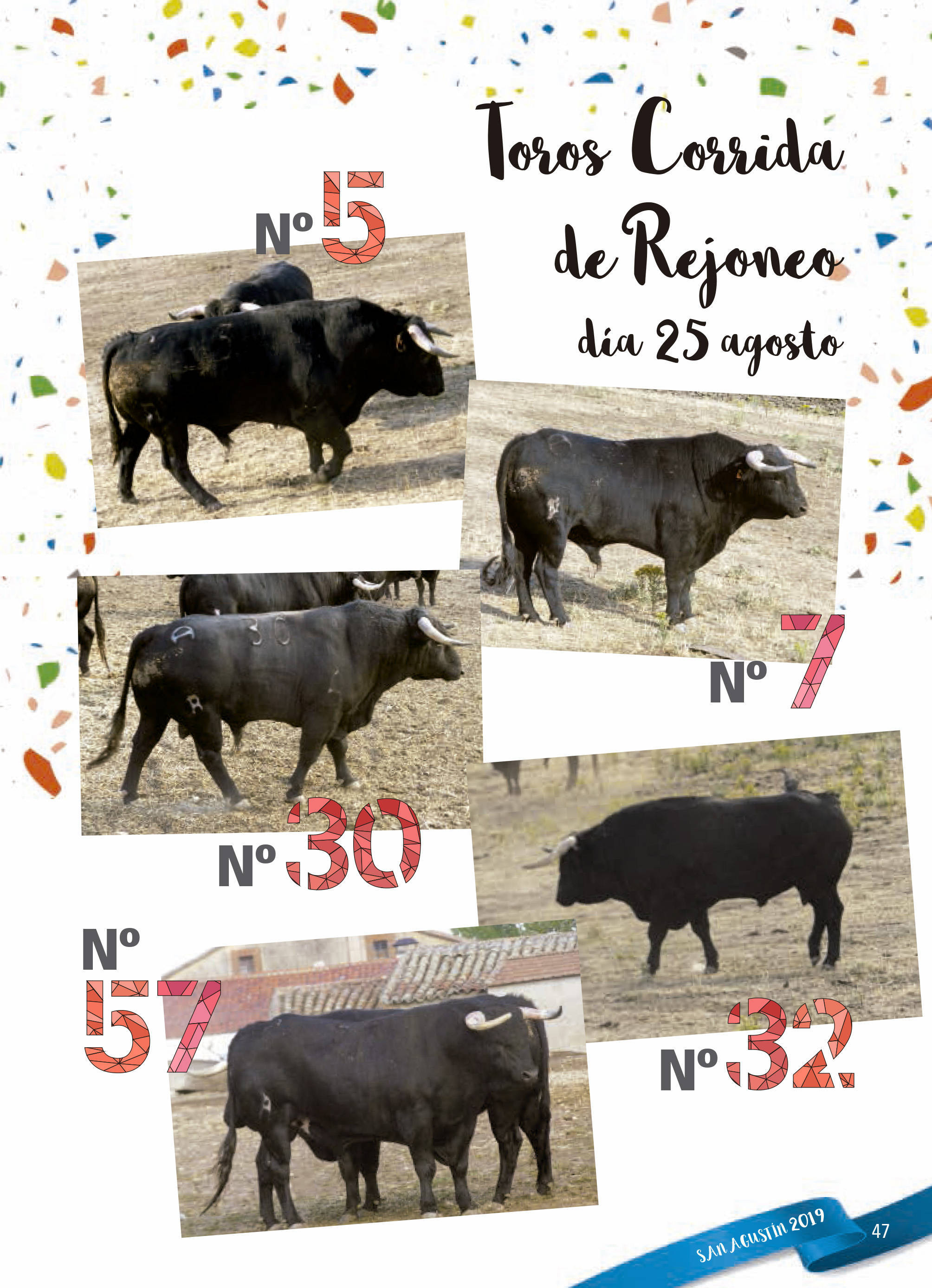 Programa de ferias y fiestas 2019 - Fermoselle (Zamora) 18