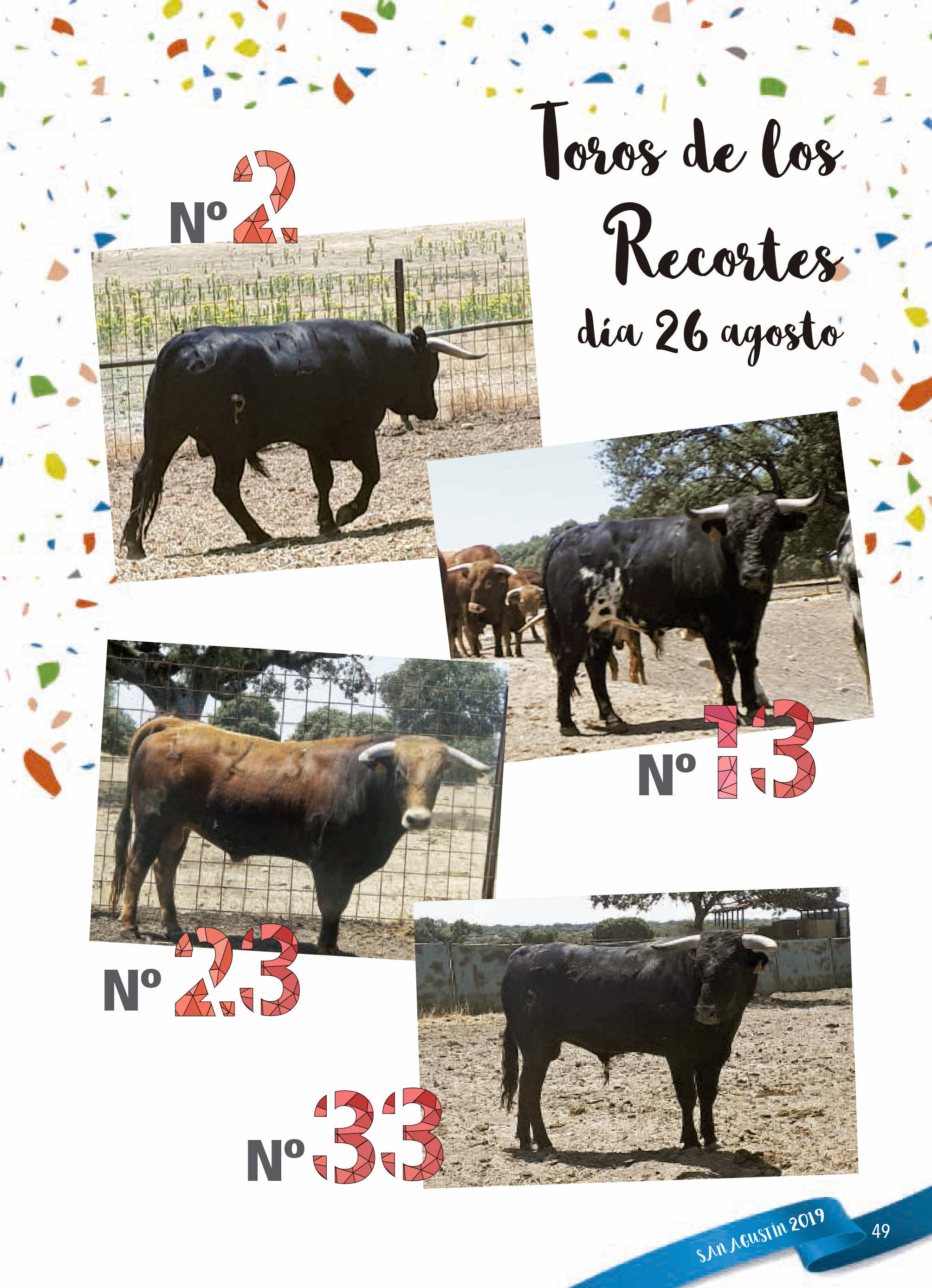 Programa de ferias y fiestas 2019 - Fermoselle (Zamora) 19