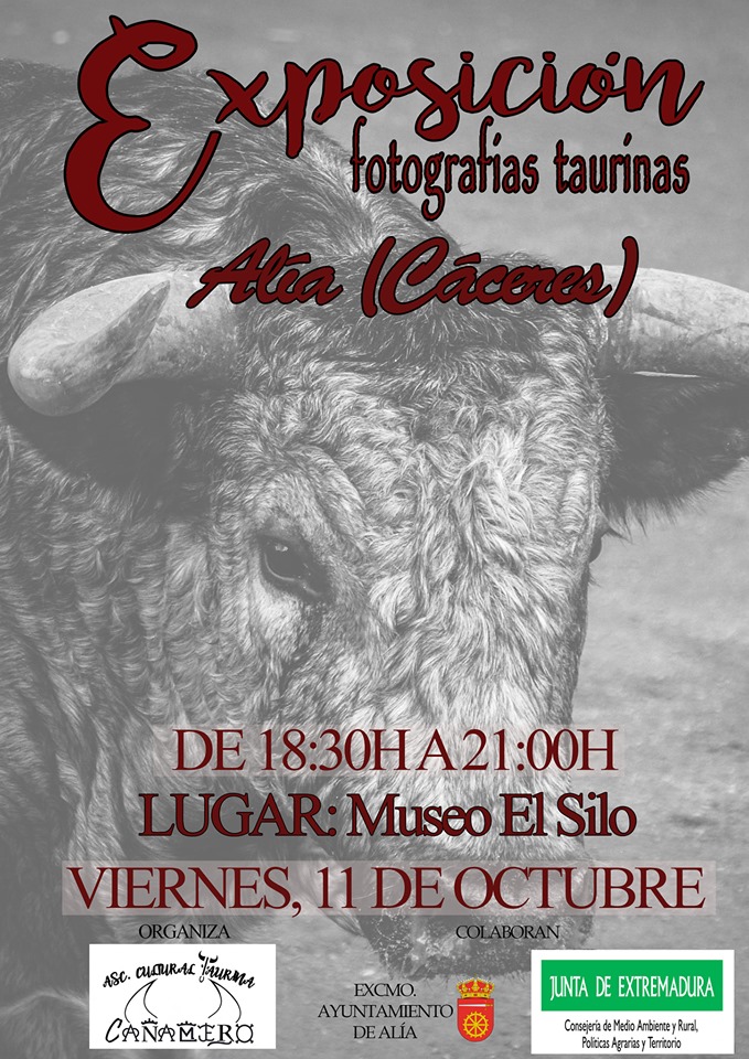 Exposición de fotografías taurinas 2019 - Alía (Cáceres)