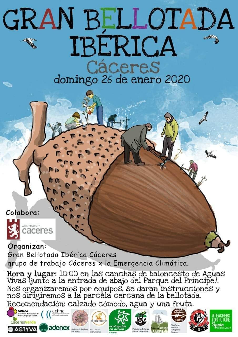 Gran bellotada ibérica 2020 - Cáceres