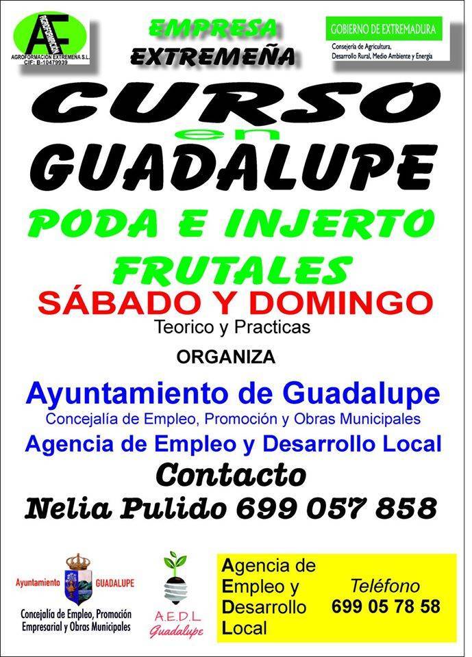 Curso de poda e injerto frutales 2020 - Guadalupe (Cáceres)