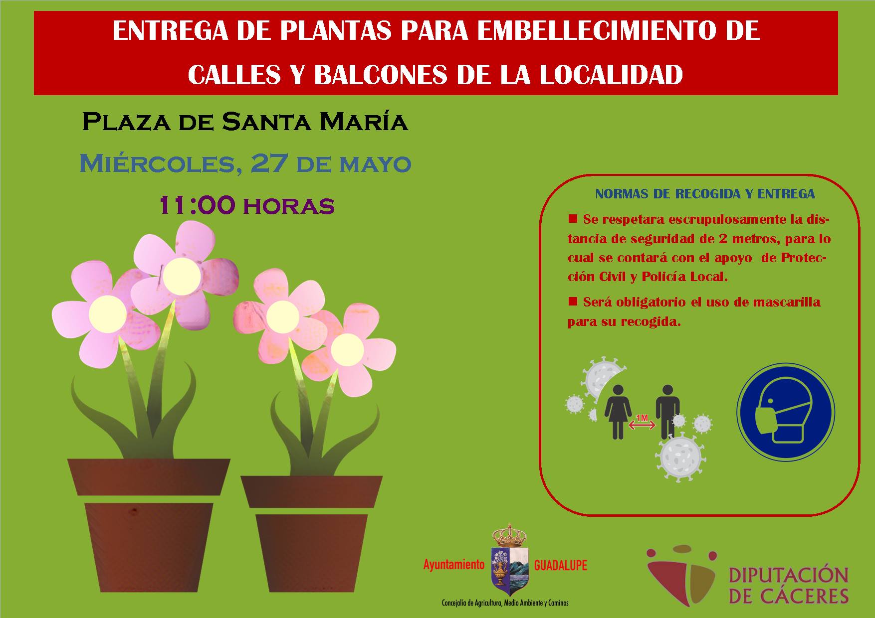 Entrega de plantas para embellecer 2020 - Guadalupe (Cáceres)