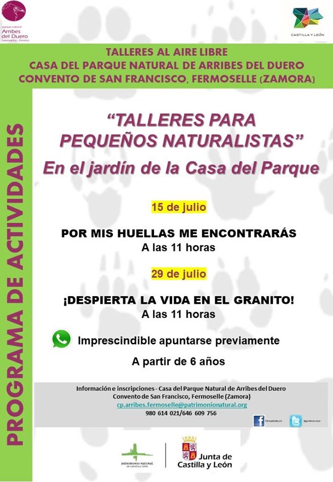 Talleres al aire libre julio 2020 - Fermoselle (Zamora)