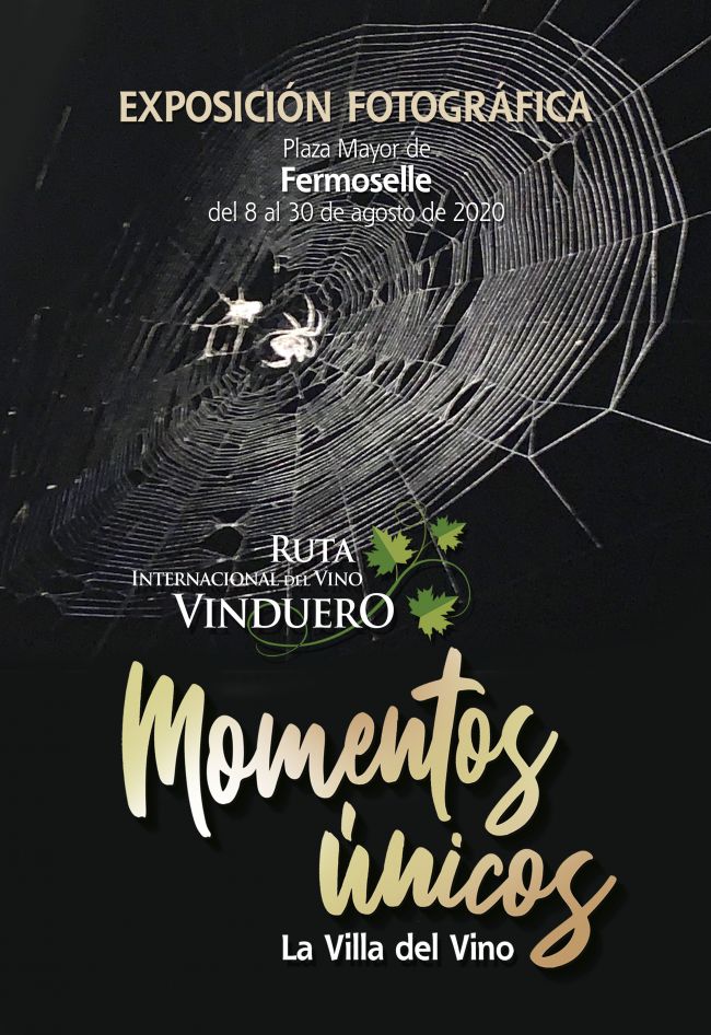 Exposición La Villa del Vino 2020 - Fermoselle (Zamora)