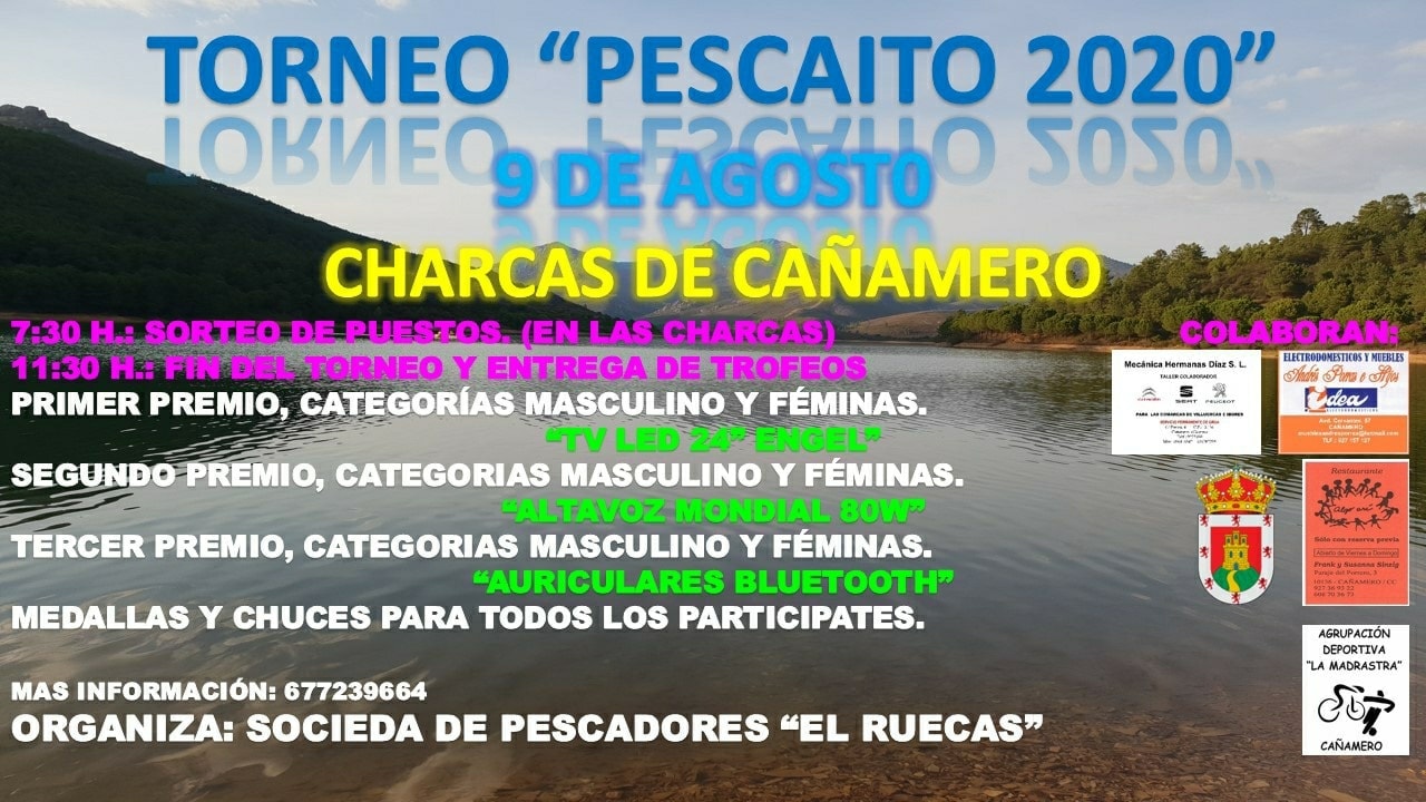 Torneo pescaito 2020 - Cañamero (Cáceres)