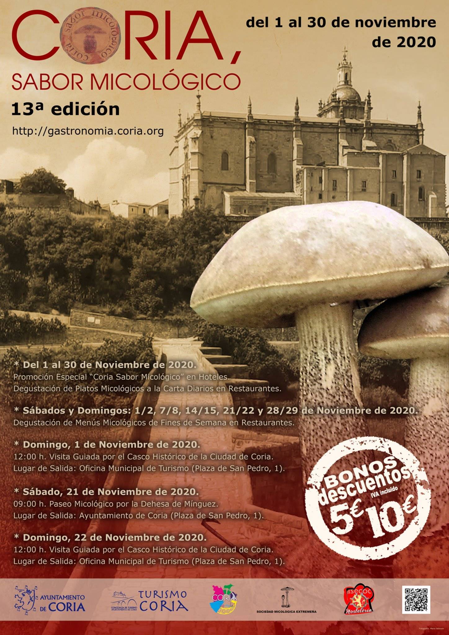 Sabor micológico (2020) - Coria (Cáceres) 1