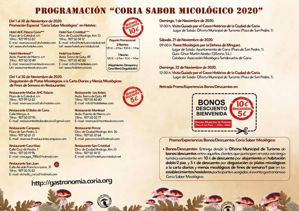Sabor micológico (2020) - Coria (Cáceres) 2