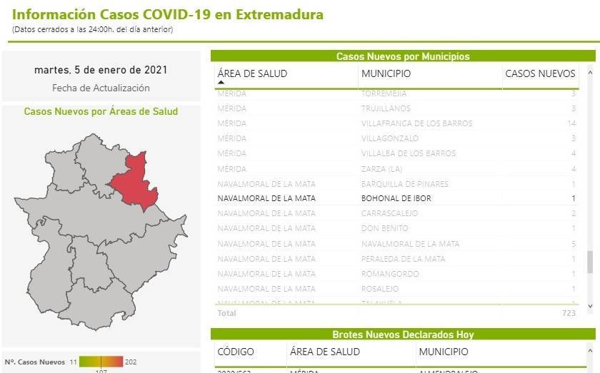 3 nuevos casos positivos de COVID-19 (enero 2021) - Bohonal de Ibor (Cáceres) 2