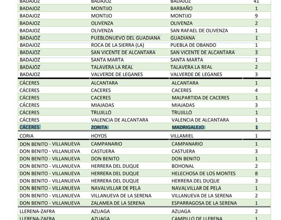 Dos nuevos casos positivos de COVID-19 (febrero 2021) - Madrigalejo (Cáceres) 2