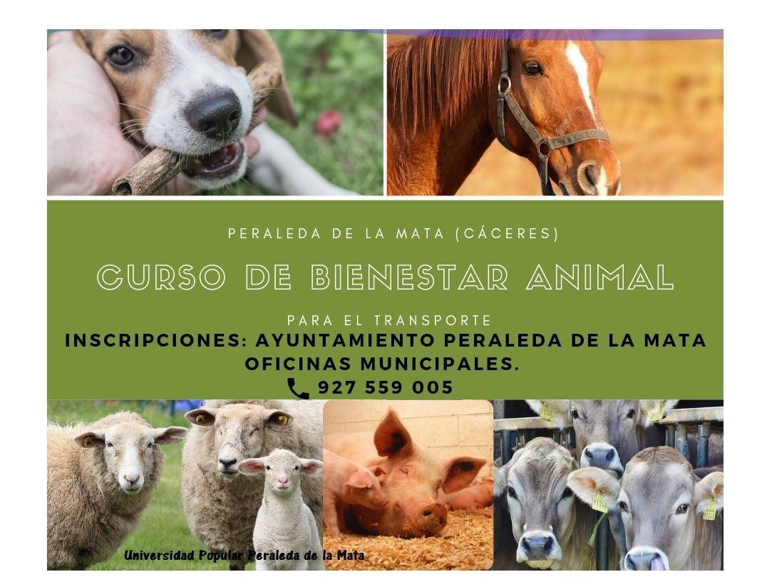 Curso de bienestar animal para el transporte (2021) - Peraleda de la Mata (Cáceres)
