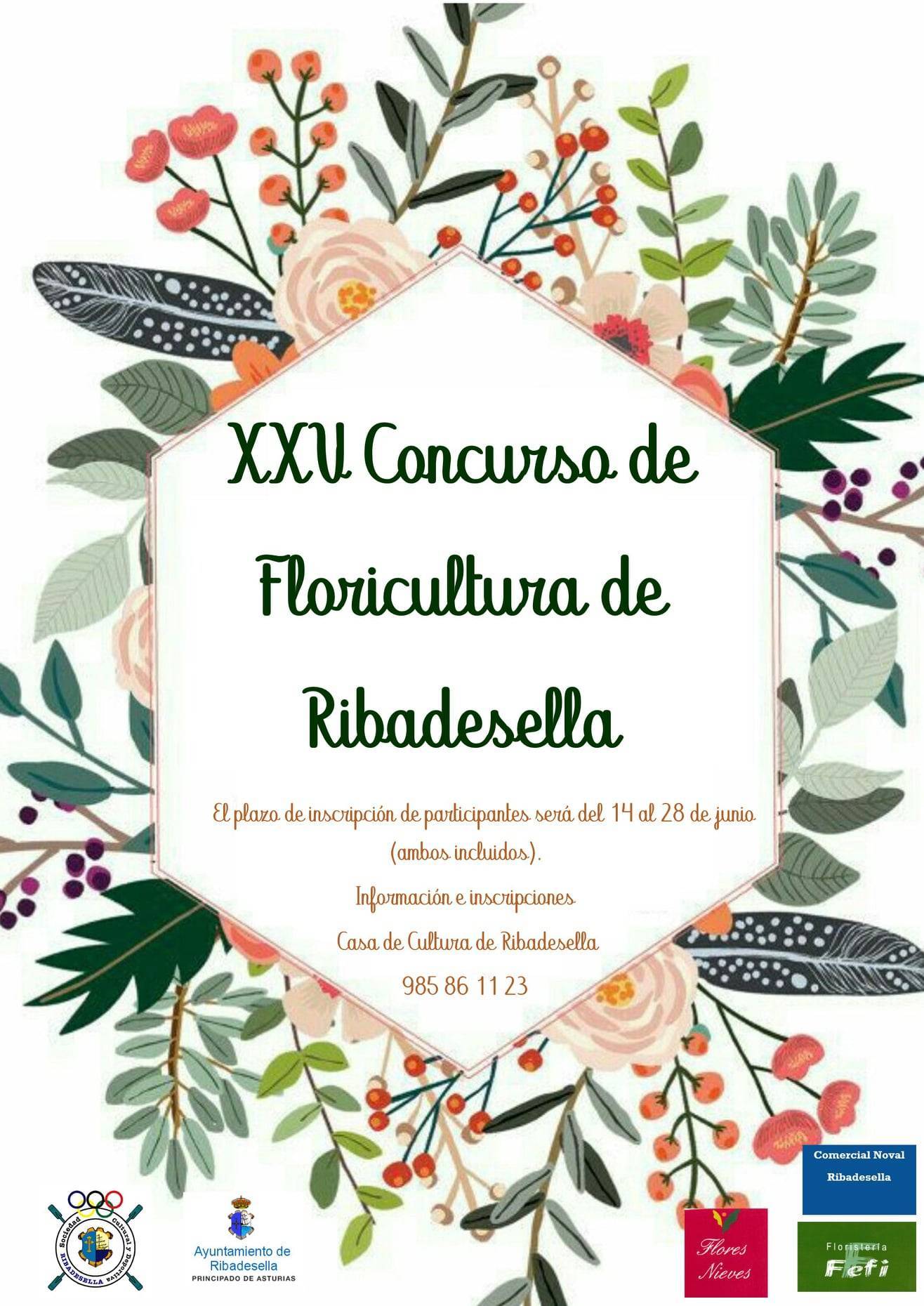 XXV concurso de floricultura - Ribadesella (Asturias) 1