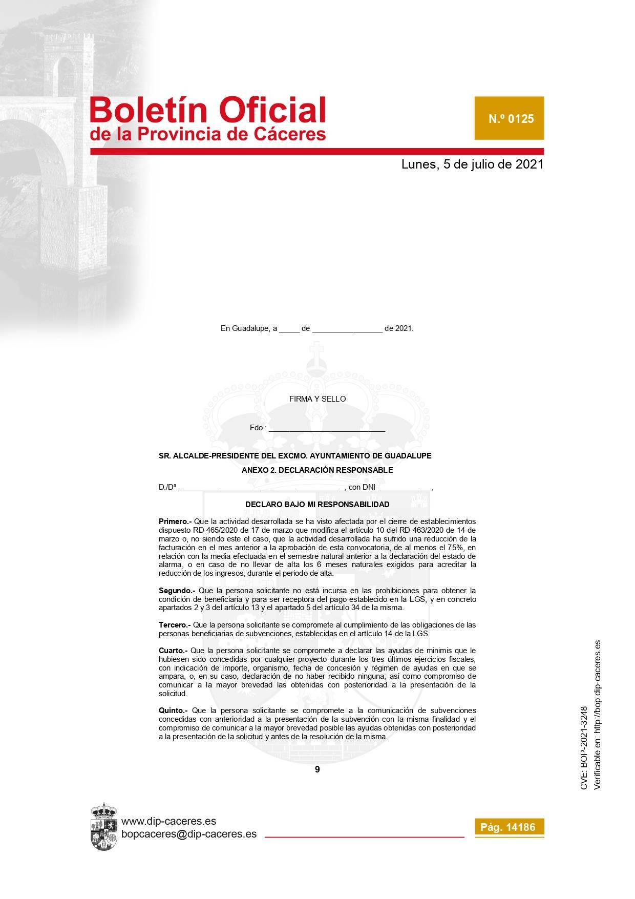 Concesión de subvenciones para la reactivación empresarial (2021) - Guadalupe (Cáceres) 11