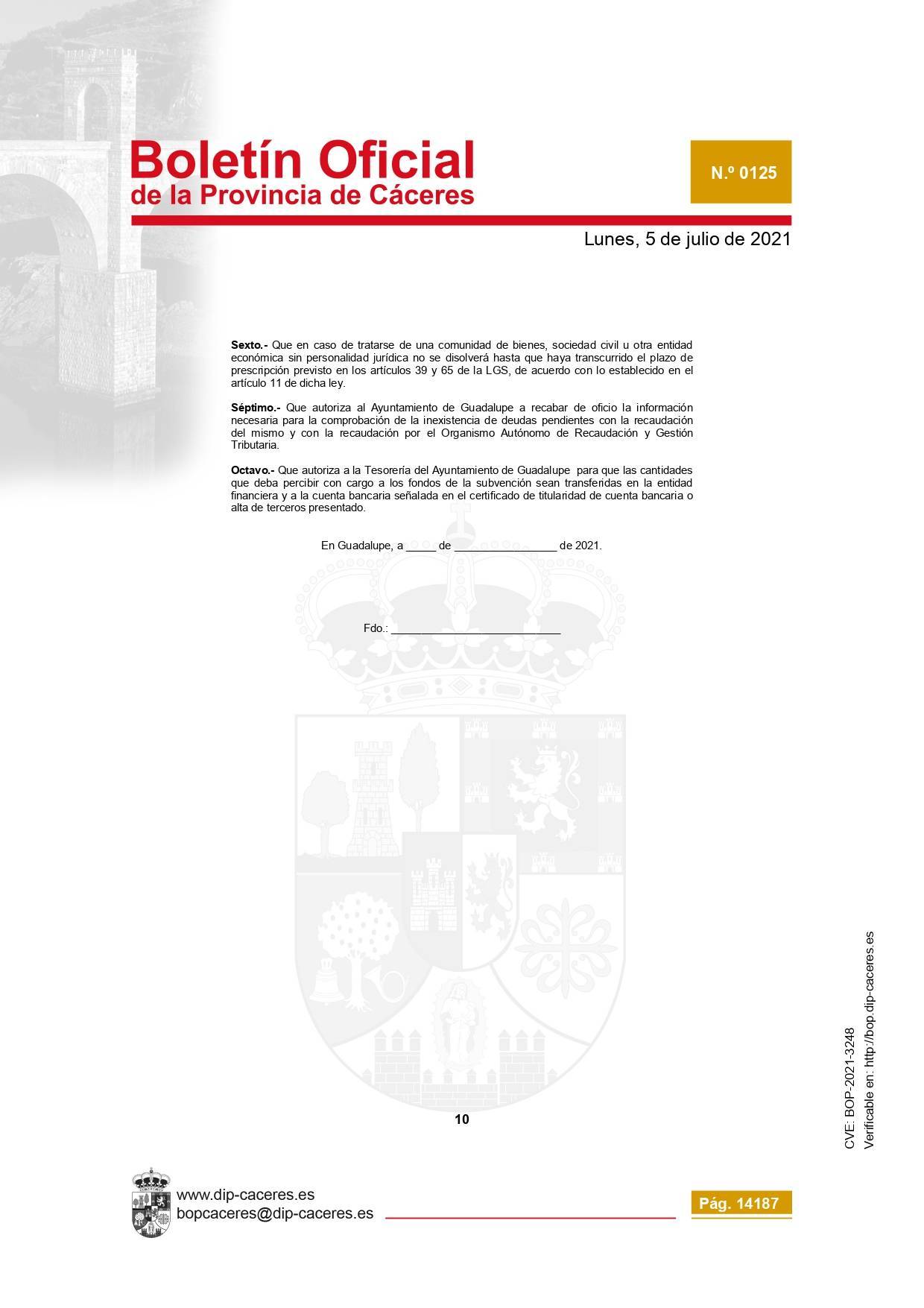 Concesión de subvenciones para la reactivación empresarial (2021) - Guadalupe (Cáceres) 12