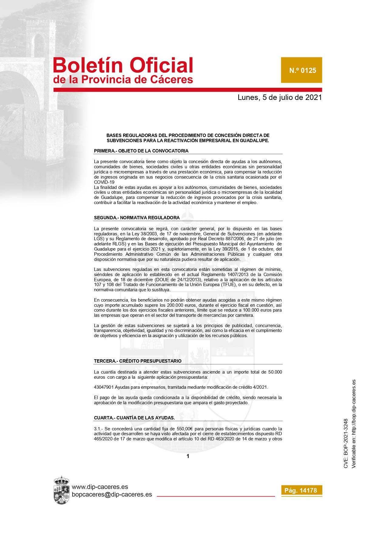 Concesión de subvenciones para la reactivación empresarial (2021) - Guadalupe (Cáceres) 3