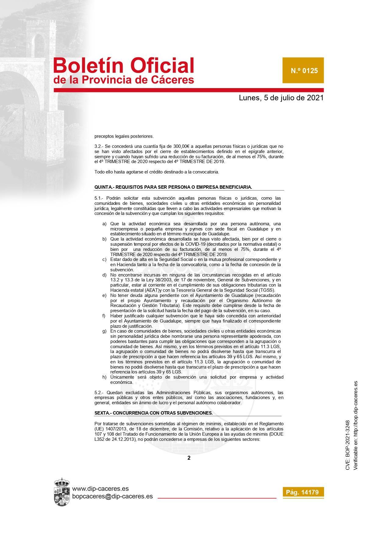 Concesión de subvenciones para la reactivación empresarial (2021) - Guadalupe (Cáceres) 4