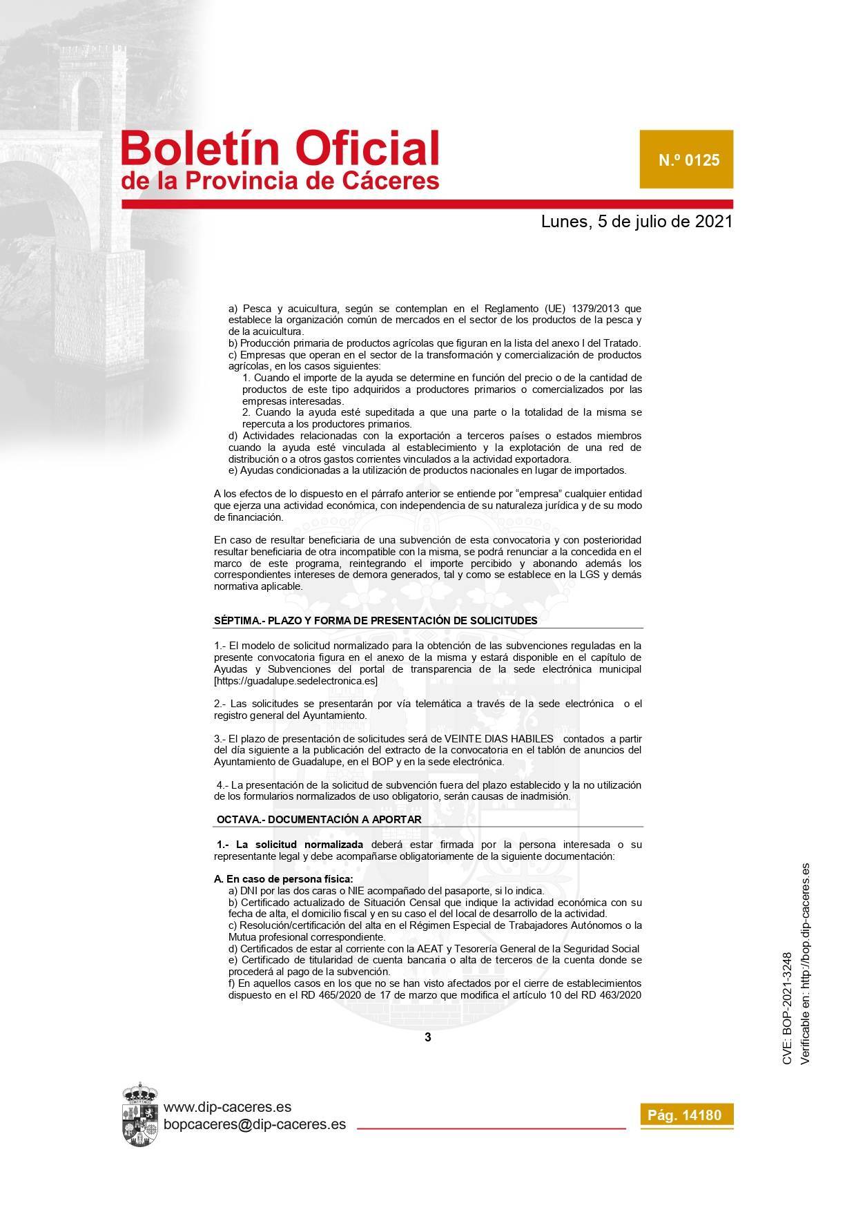 Concesión de subvenciones para la reactivación empresarial (2021) - Guadalupe (Cáceres) 5