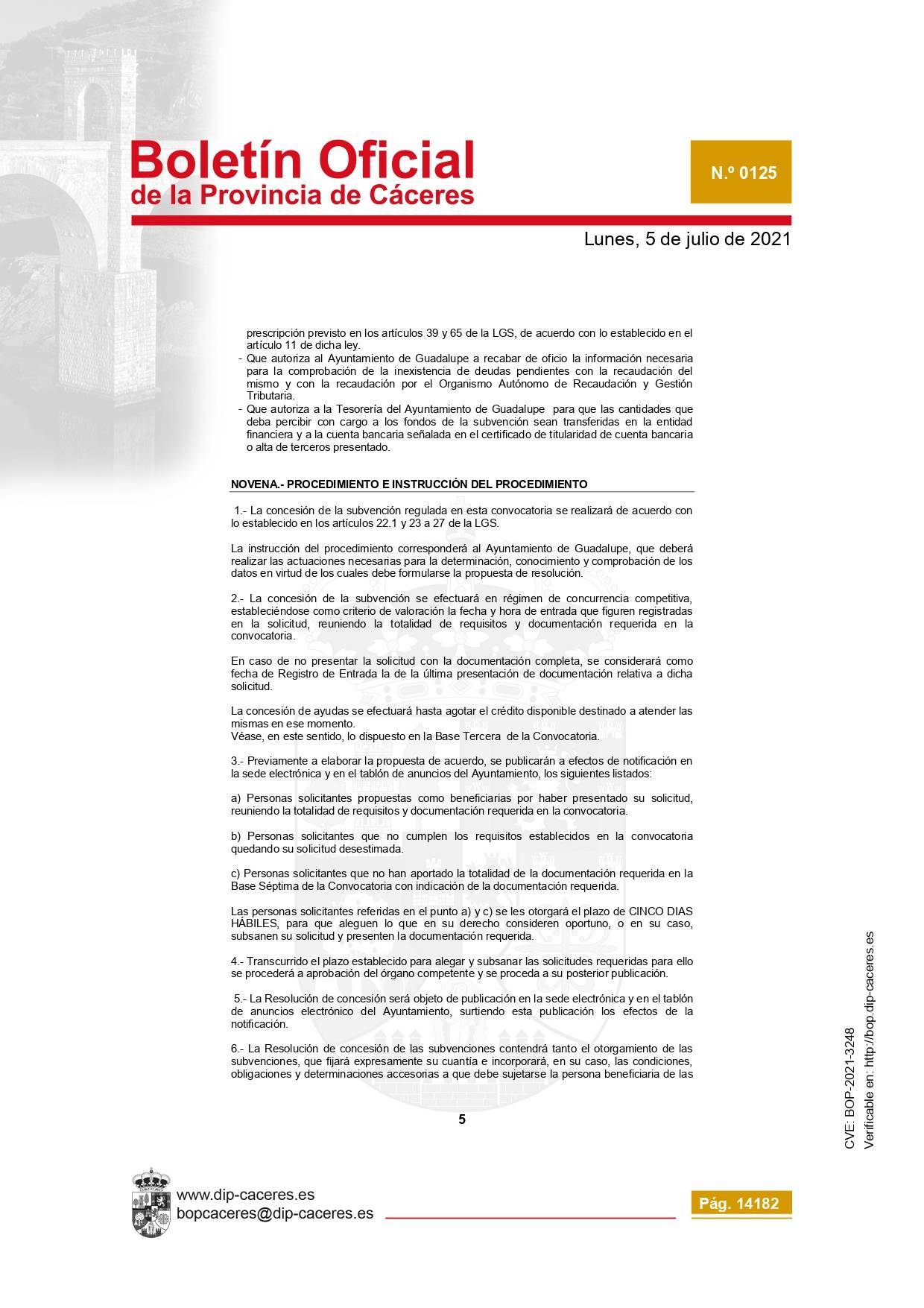 Concesión de subvenciones para la reactivación empresarial (2021) - Guadalupe (Cáceres) 7