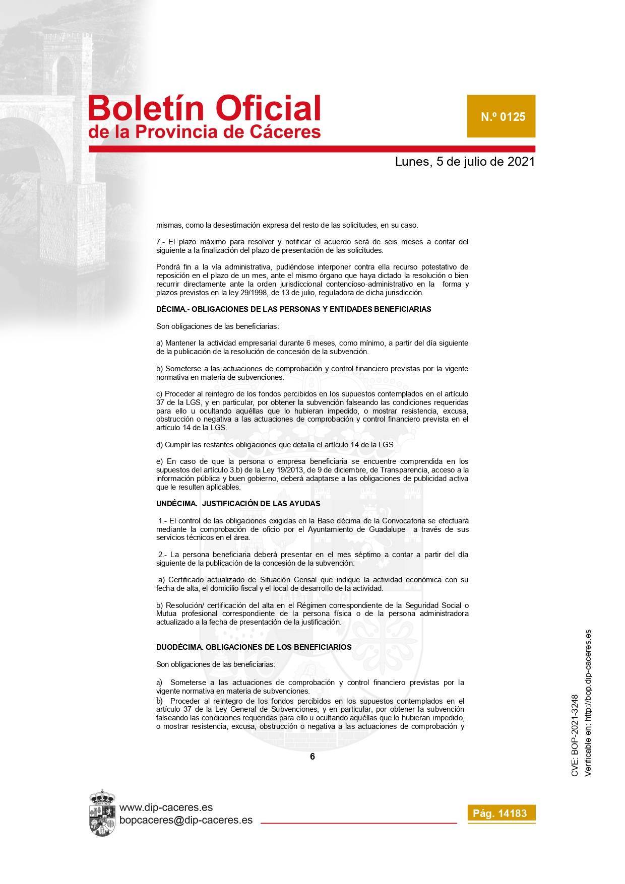 Concesión de subvenciones para la reactivación empresarial (2021) - Guadalupe (Cáceres) 8