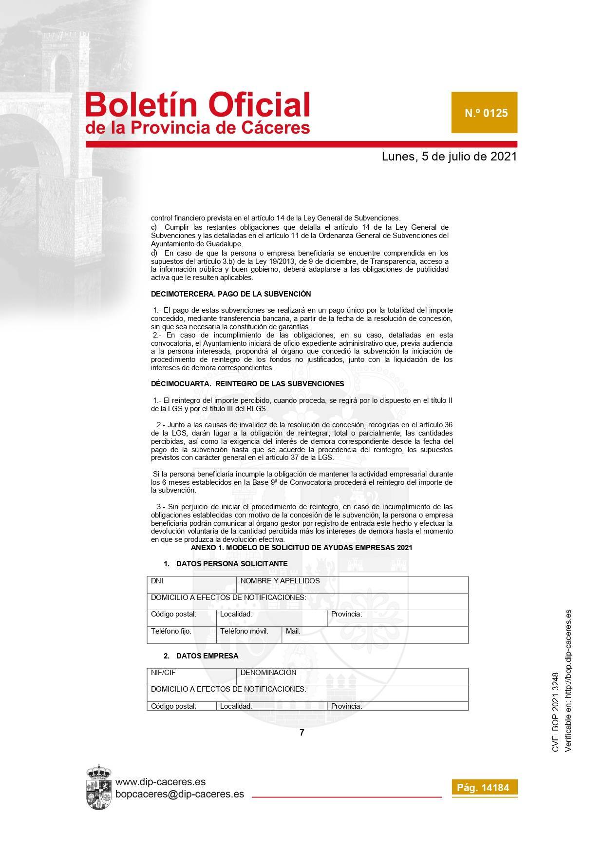 Concesión de subvenciones para la reactivación empresarial (2021) - Guadalupe (Cáceres) 9