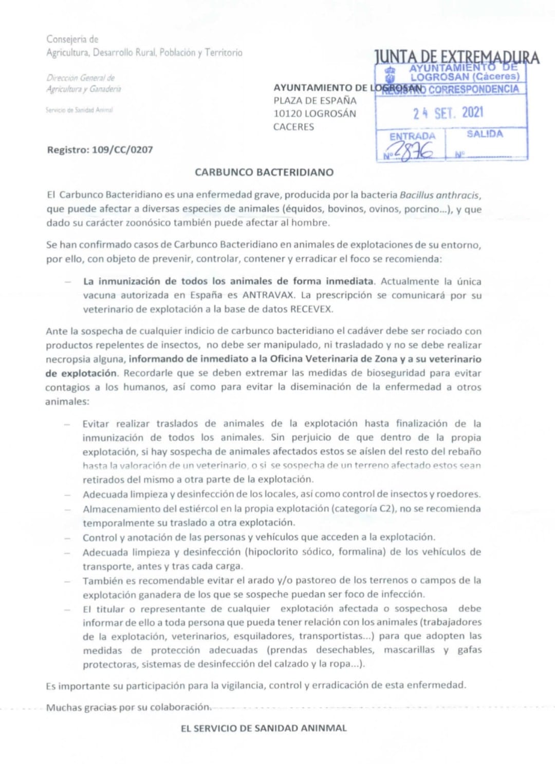 El Servicio de Sanidad Animal confirma el primer caso de ántrax (septiembre 2021) - Logrosán (Cáceres)