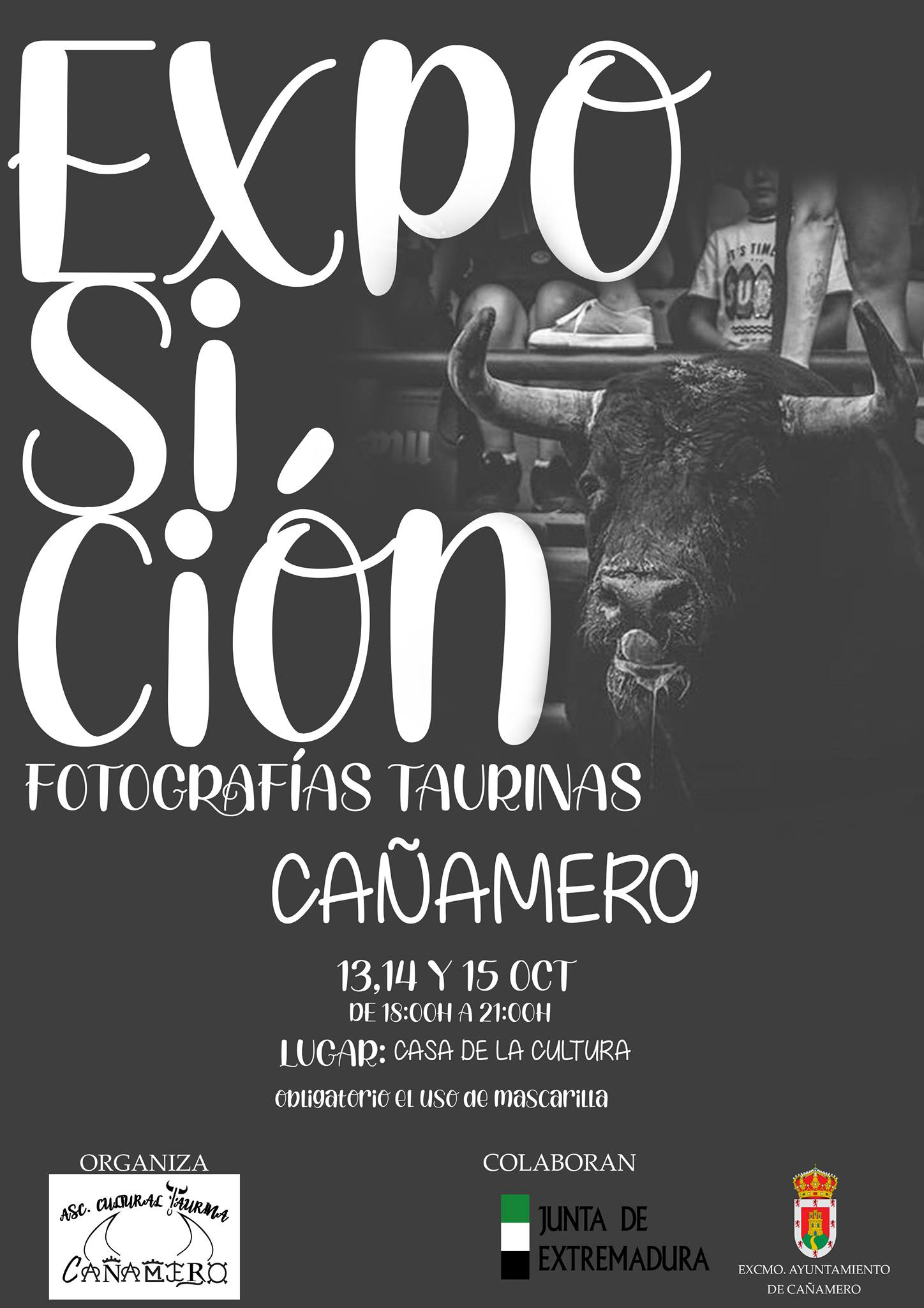 Exposición de fotografías taurinas (octubre 2021) - Cañamero (Cáceres)