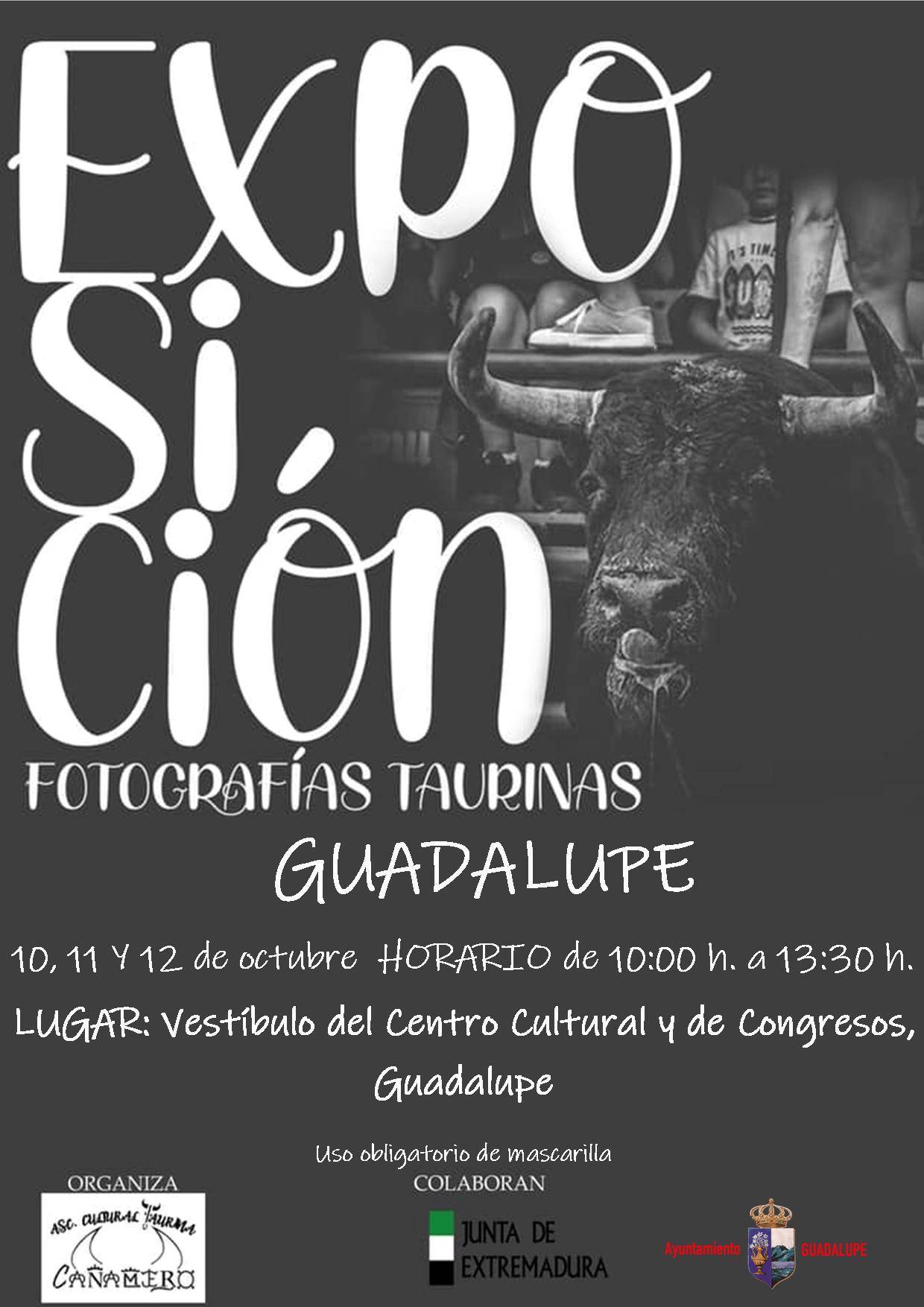 Exposición de fotografías taurinas (octubre 2021) - Guadalupe (Cáceres)