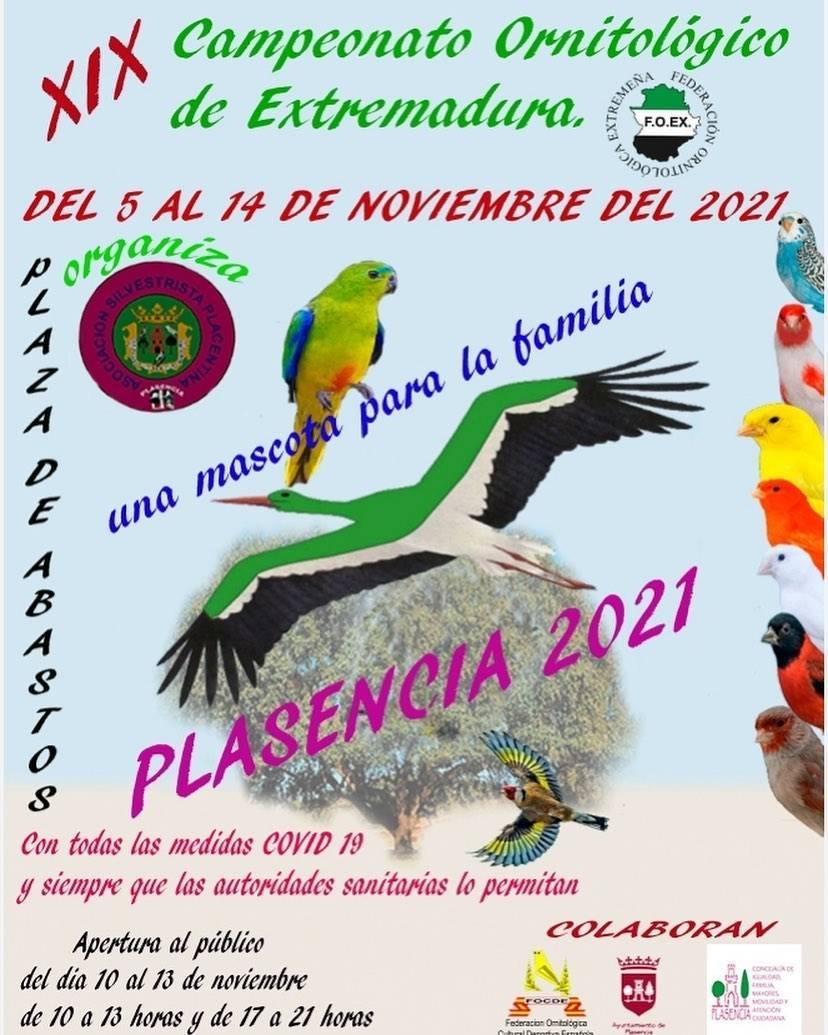 XIX Campeonato Ornitológico de Extremadura - Plasencia (Cáceres)