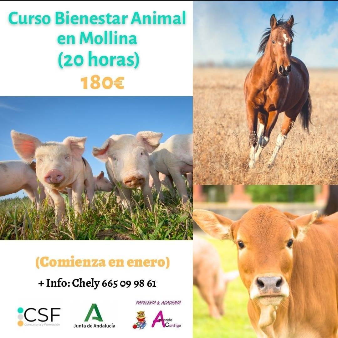 Curso de bienestar animal (2022) - Mollina (Málaga)