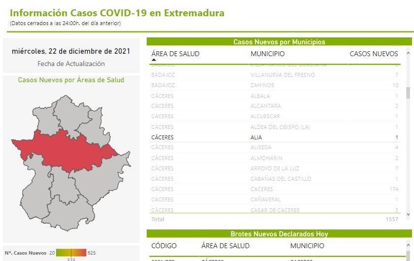 Nuevo caso positivo de COVID-19 (diciembre 2021) - Alía (Cáceres)