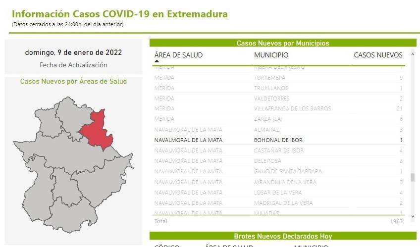 Nuevo caso positivo de COVID-19 (enero 2022) - Bohonal de Ibor (Cáceres)