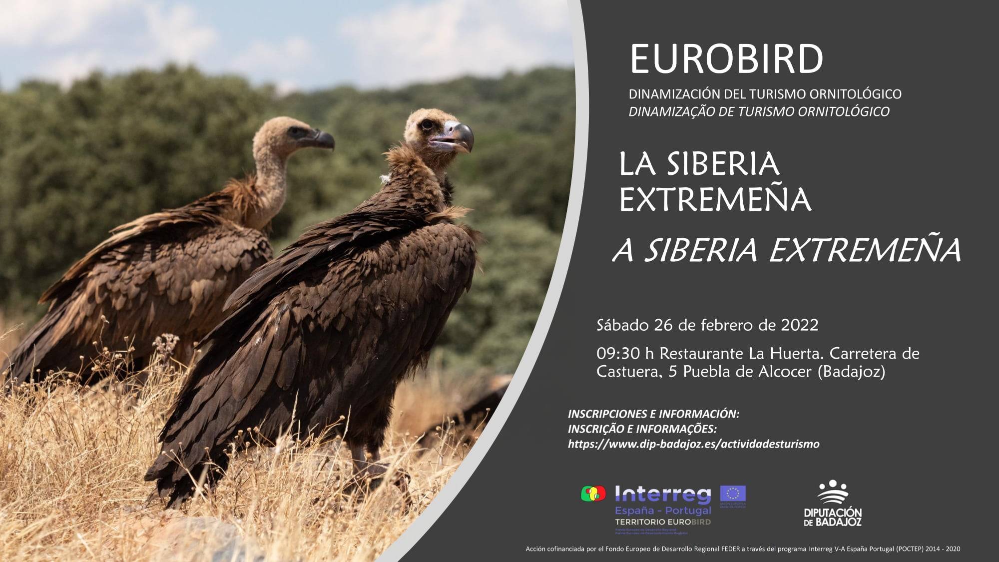 Eurobird (2022) - Puebla de Alcocer (Badajoz) 1