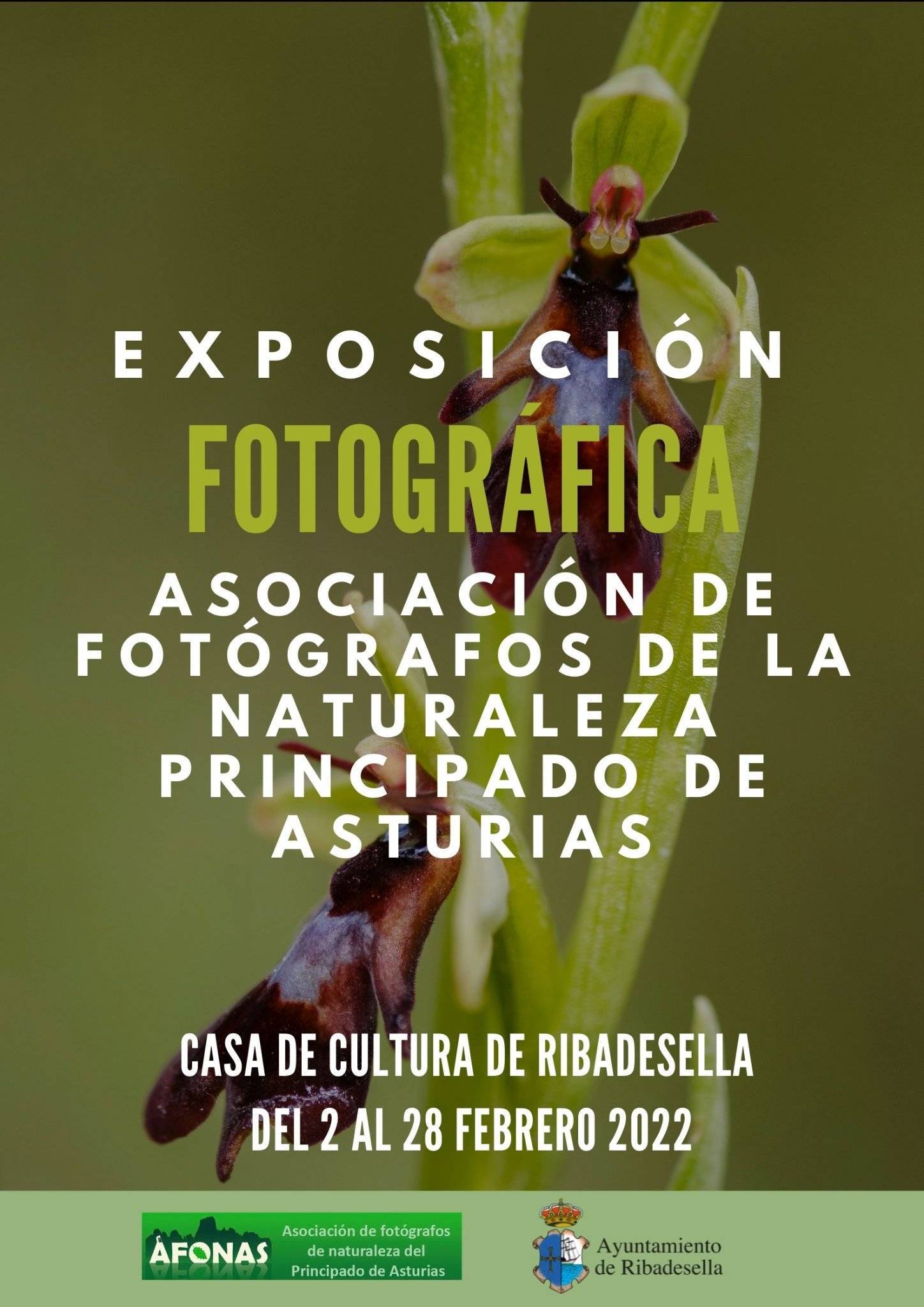 Exposición fotográfica (febrero 2022) - Ribadesella (Asturias)