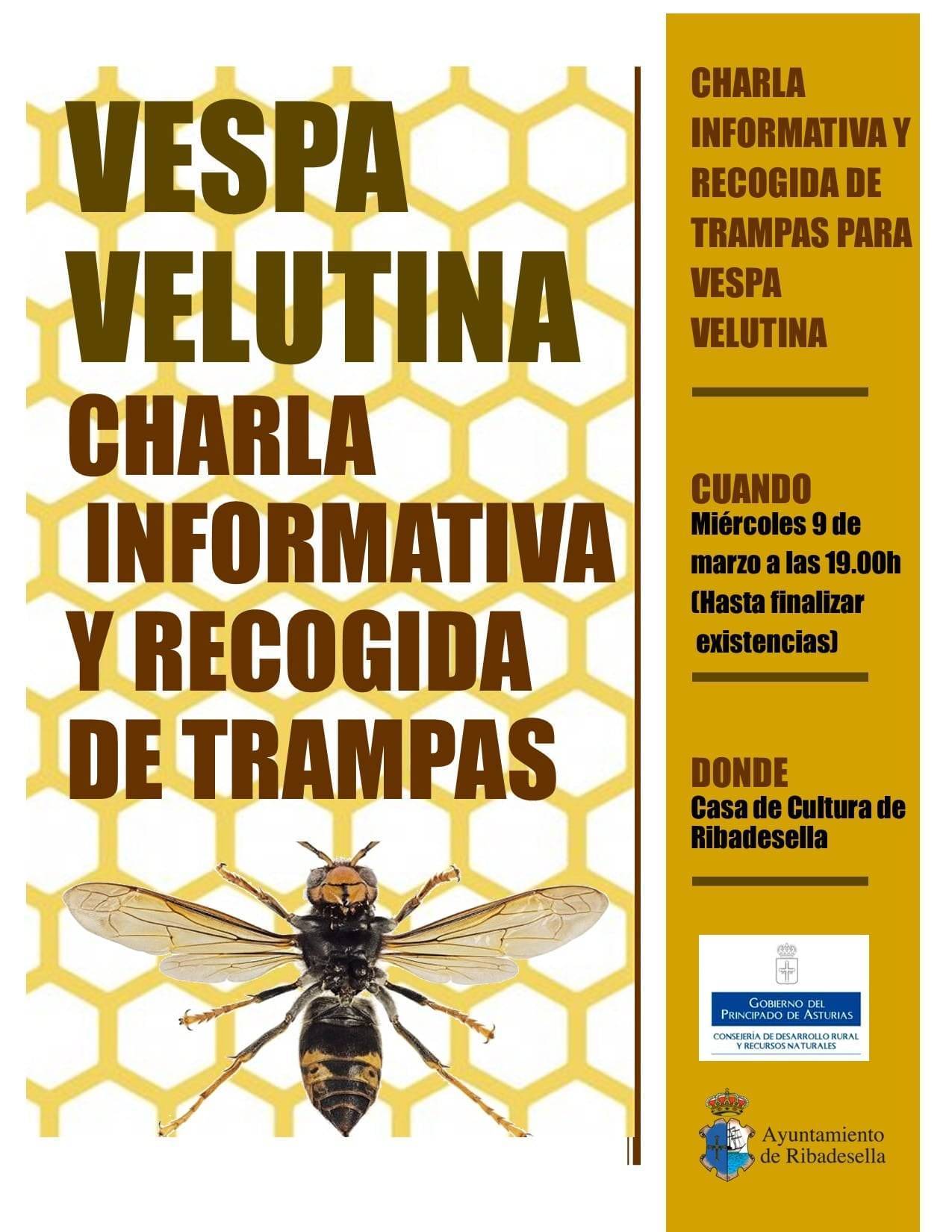 Charla sobre la vespa velutina (2022) - Ribadesella (Asturias)