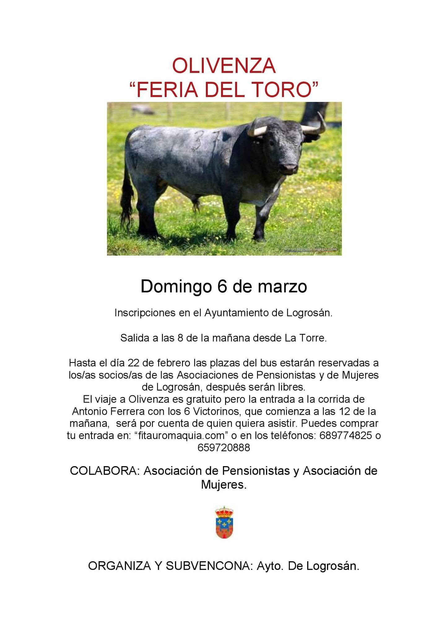 Feria del Toro de Olivenza (2022) - Logrosán (Cáceres)