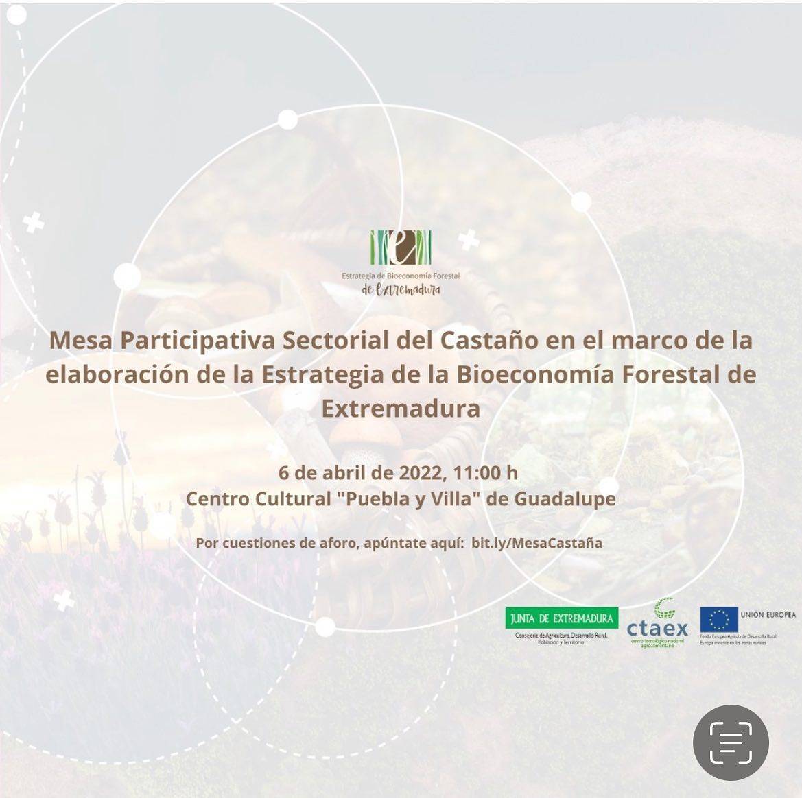 Mesa participativa sectorial del castaño (2022) - Guadalupe (Cáceres)