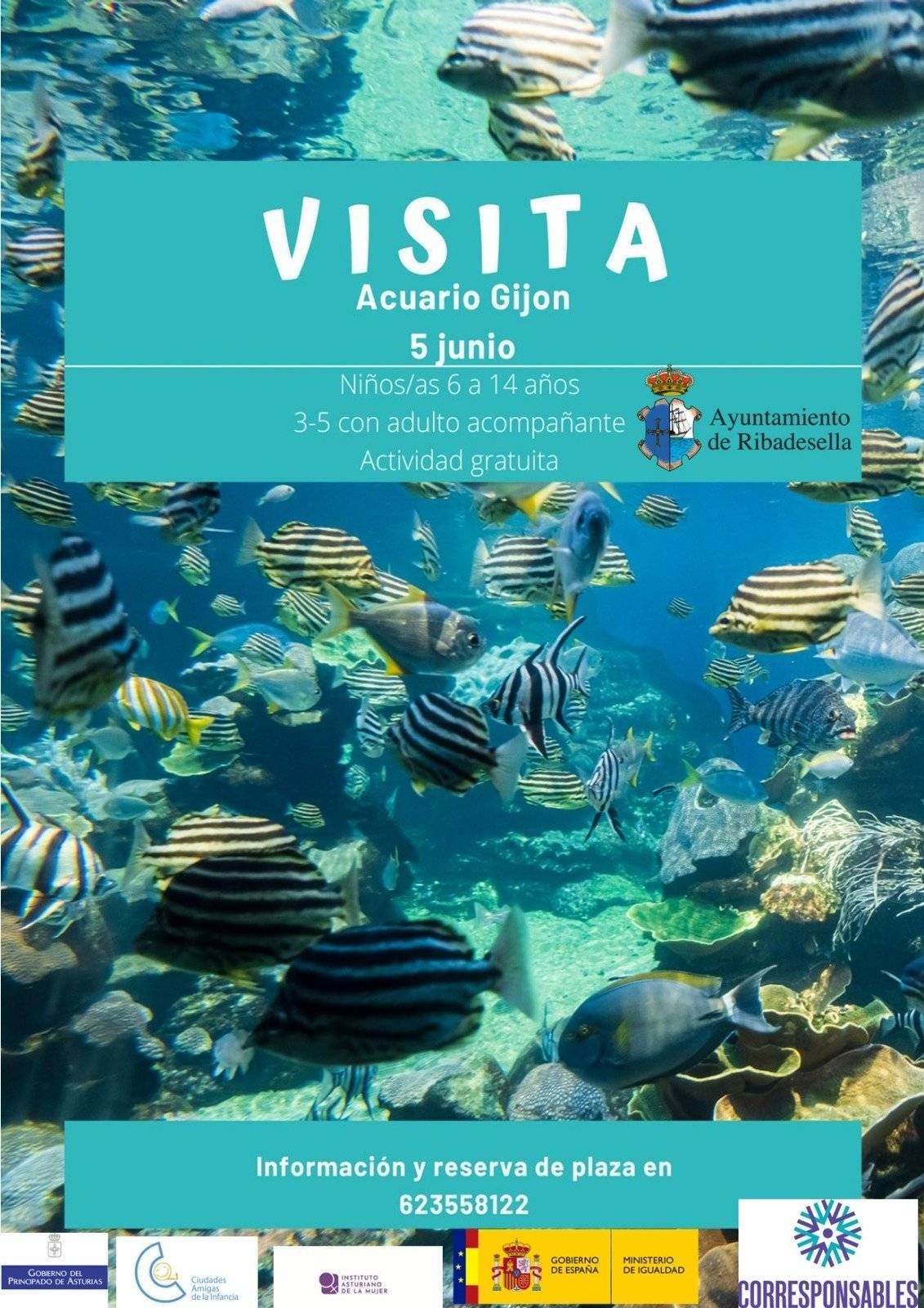 Excursión al acuario de Gijón (junio 2022) - Ribadesella (Asturias)