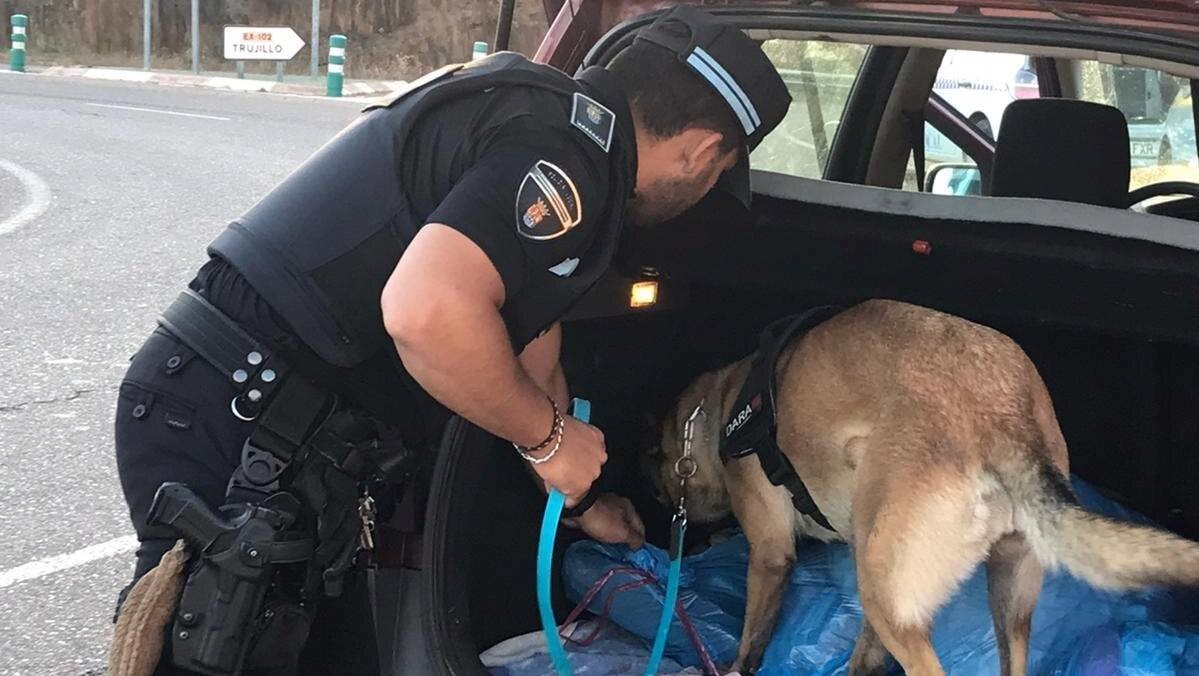 La Policía Local adquiere una unidad canina antidrogas (2022) - Logrosán (Cáceres)