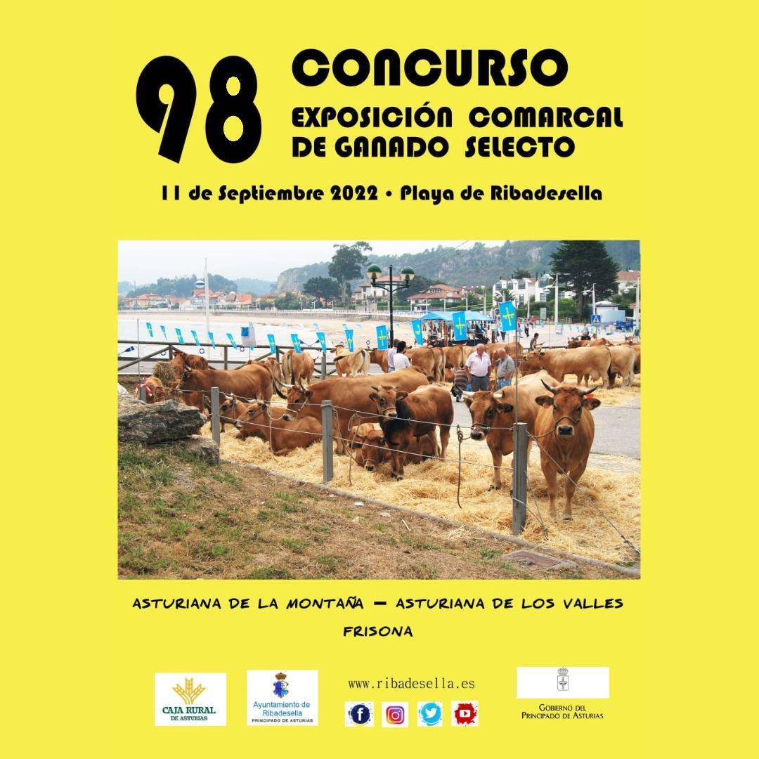 98 Concurso de Exposición Comarcal de Ganado Selecto - Ribadesella (Asturias)