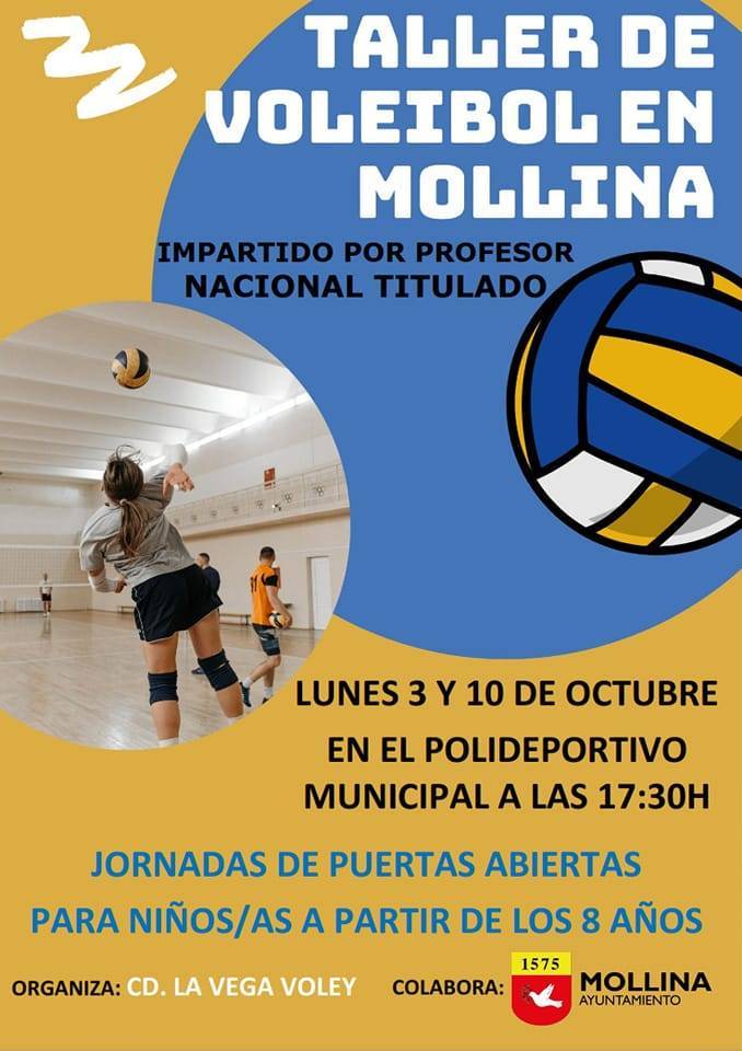 Taller de voleibol (2022) - Mollina (Málaga)