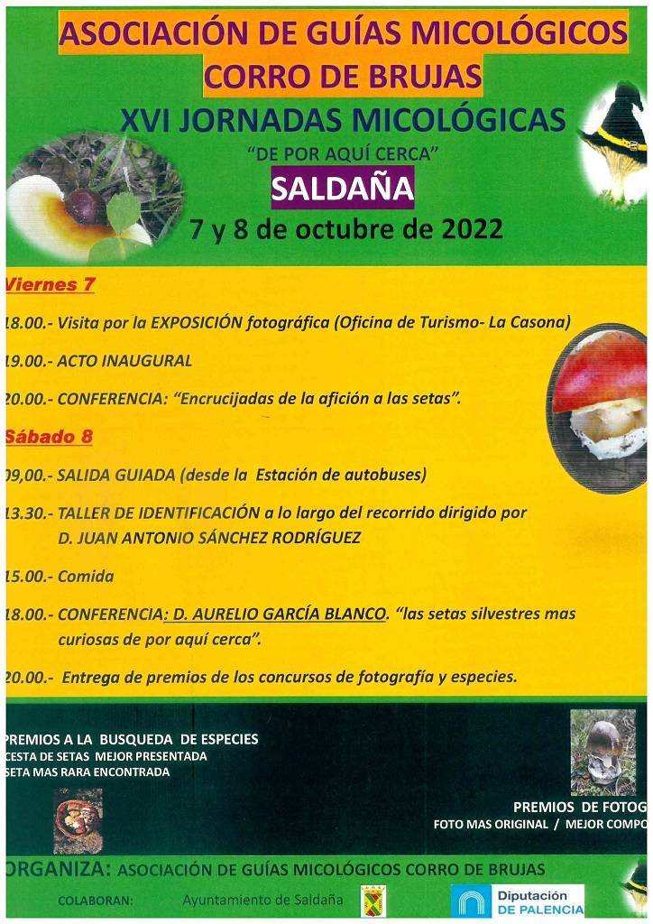 XVI Jornadas Micológicas - Saldaña (Palencia)