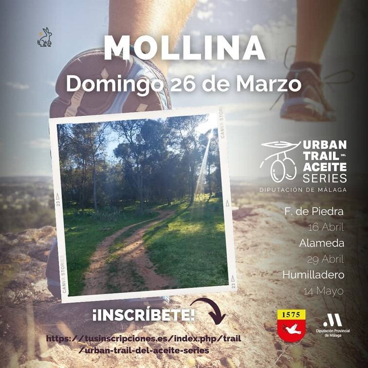 Urban Trail del Aceite (2023) - Mollina (Málaga)